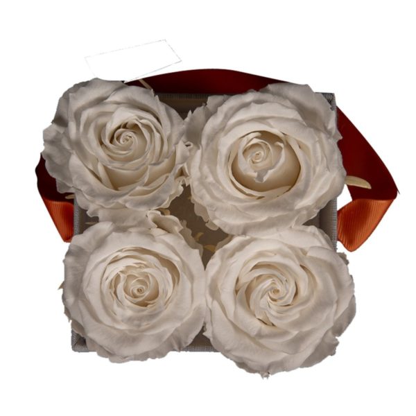 Box grise - 4 roses