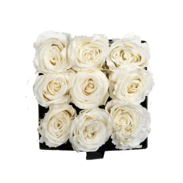 Box Noire - 9 roses