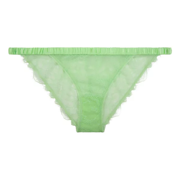 Culotte - Wild rose Lime